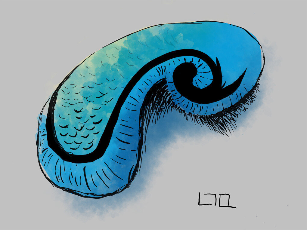 Blue_Shell.jpg